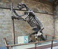 museo londres dinosaurio