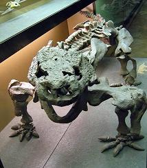 museo Viena dinosaurio