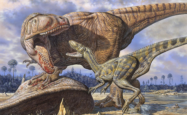 Dinosaurios carnivoros: Carcharodontosaurus saharicus