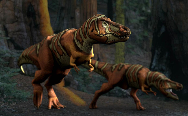 Dinosaurios carnivoros: Tyrannosaurus rex