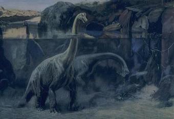 Fotos de dinosaurios