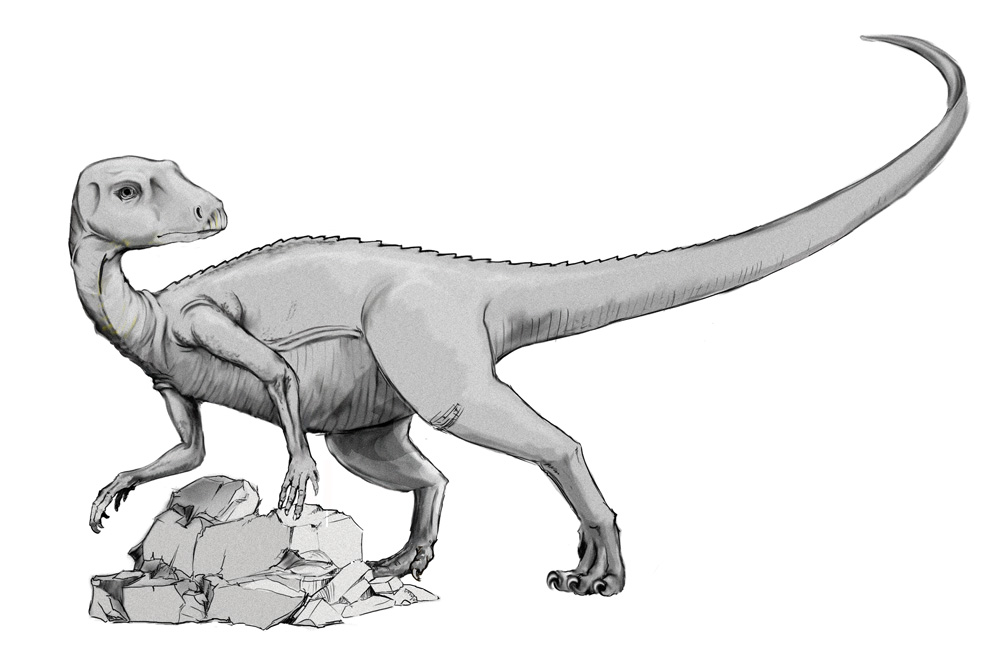 Dinosaurios omnívoros | Alimentación y especies más famosas