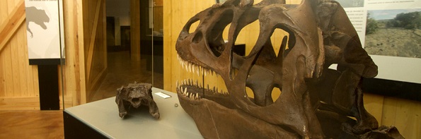 El Barranco Perdido y el Museo Cretácico