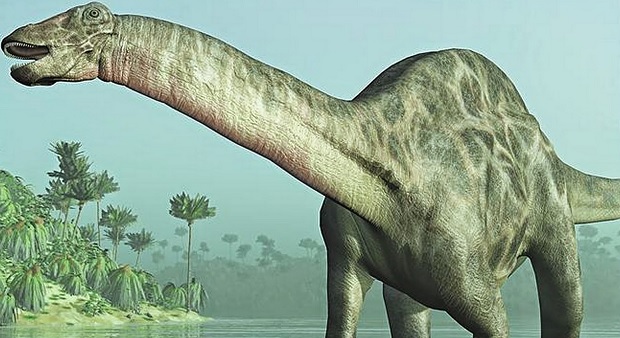 Brontosaurus: características e información sobre su forma de vida
