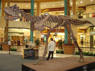 Carnotaurus | Toda la información de este dinosaurio carnívoro