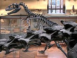 dinosaurio museo paris