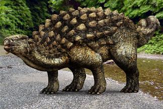 Ankylosaurus 