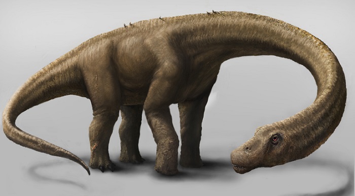 Dinosaurio Dreadnoughtus