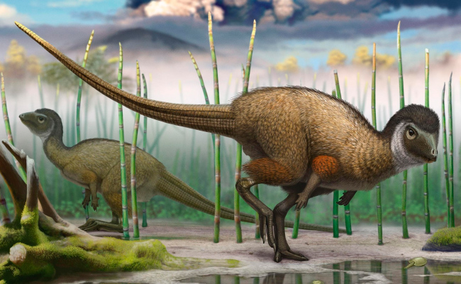 Dinosaurios herbívoros: las especies más conocidas