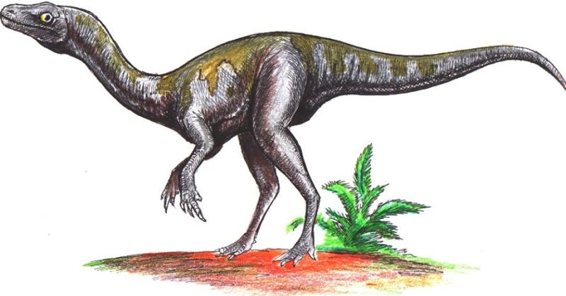 Dinosaurio Nyasasaurus parringtoni