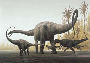 Diplodocus | Cuánto pesaba y más información de este dinosaurio