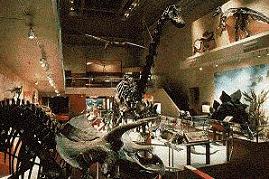 Exposición dinosaurios Washington
