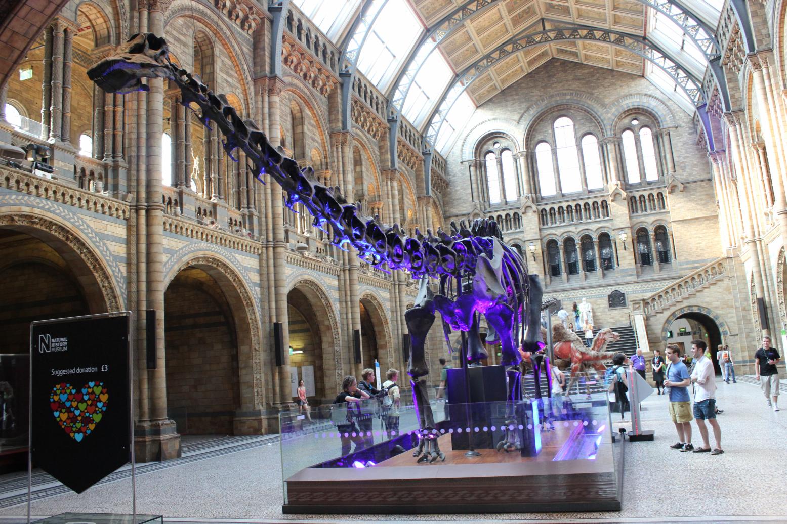 Foto del museo de historia natural de Londres