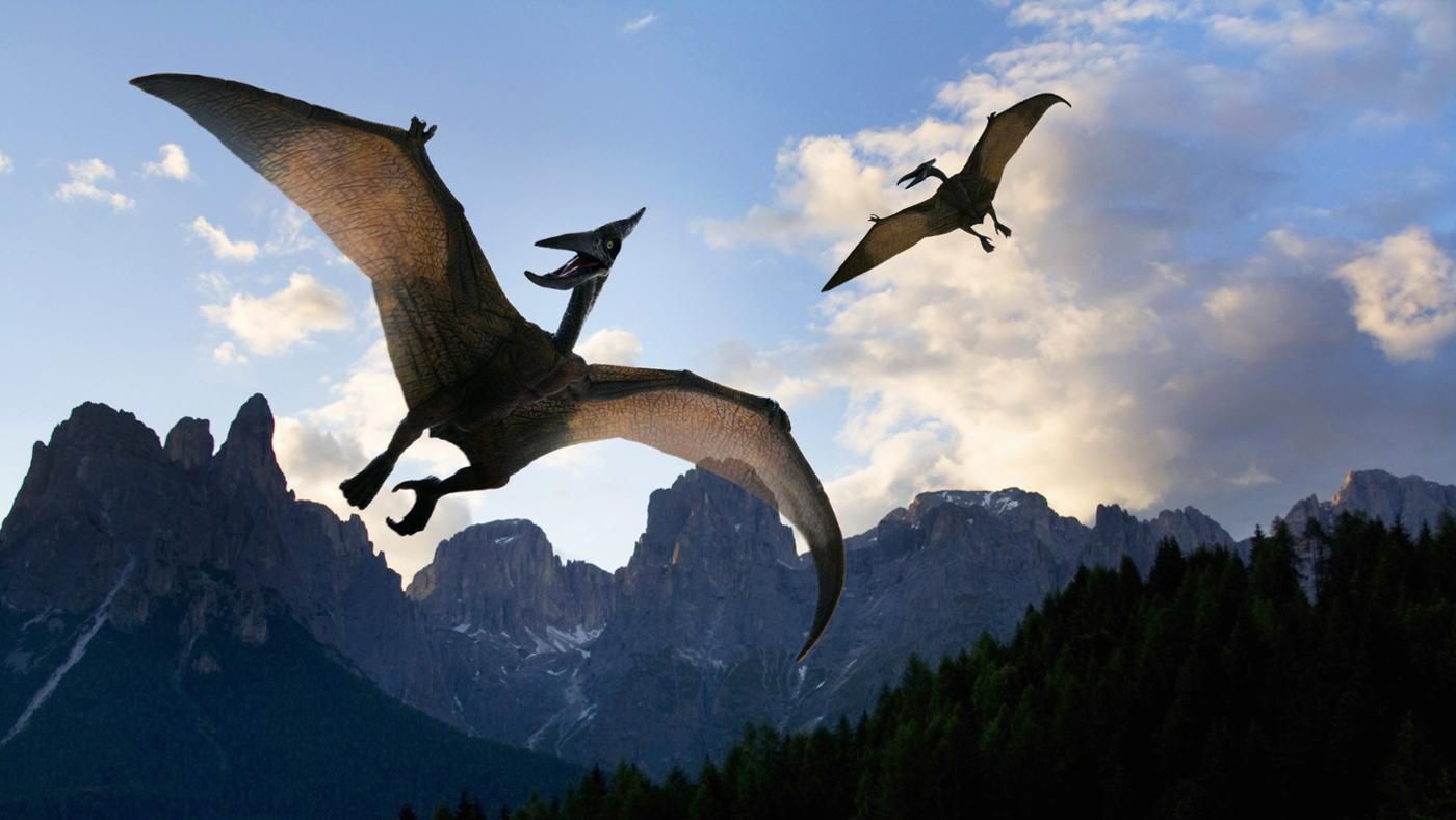 Pterodactyl