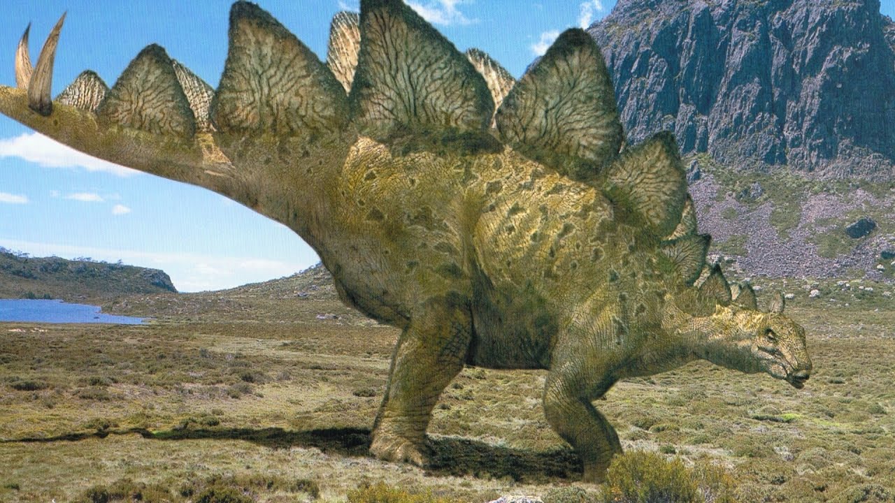 Stegosaurus