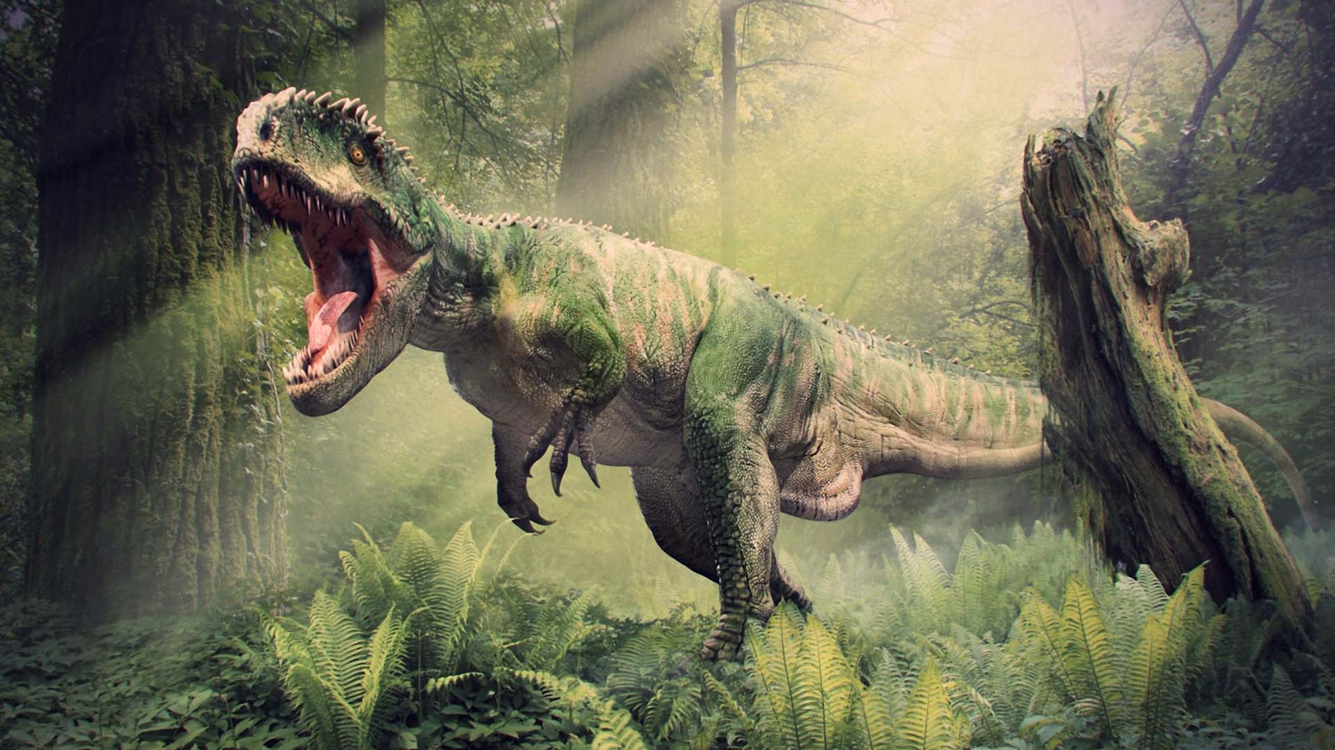 Fotos de dinosaurios para descargar gratis en buena calidad