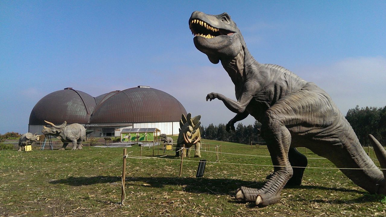 Los 5 mejores lugares para ver restos jurásicos en Cantabria