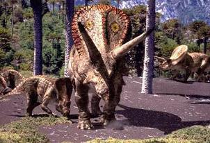 fotos dinosaurio torosaurus